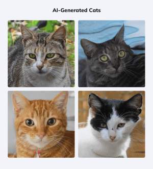 Four pictures of different coloured cats all generated by AI 