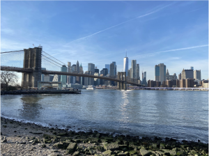 A view of bridge in New York 